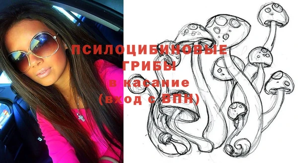 ешки Верея