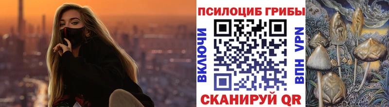 Псилоцибиновые грибы Psilocybe хочу Нелидово